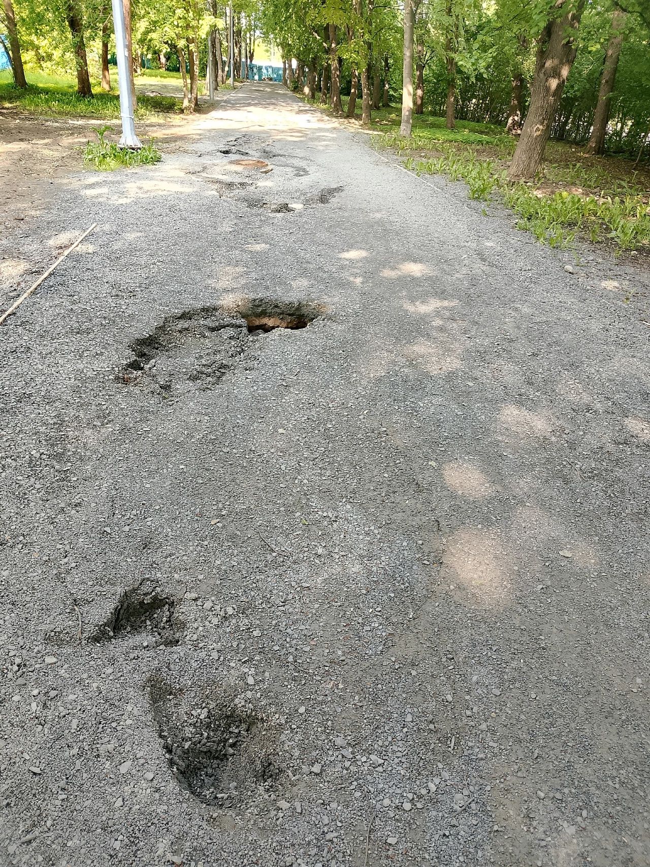 Липовую аллею изуродовали раскопками в Петрозаводске
