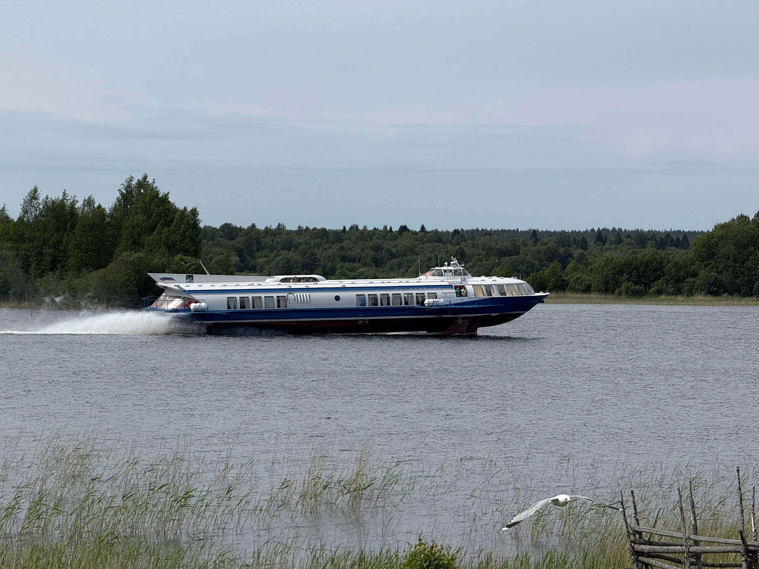 Мореходную комету запустили вместо «Метеора» до острова Кижи