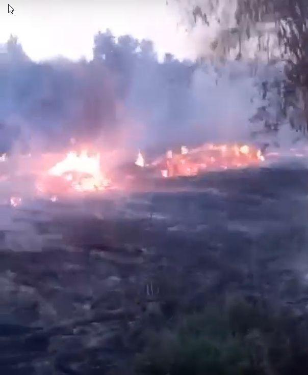 Горящая свалка древесных обрубков угрожала лесу в одном из районов Карелии