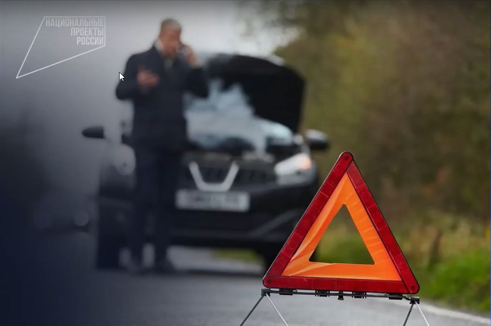 Автомобили 10 раз сбили лосей на дорогах Карелии в июне