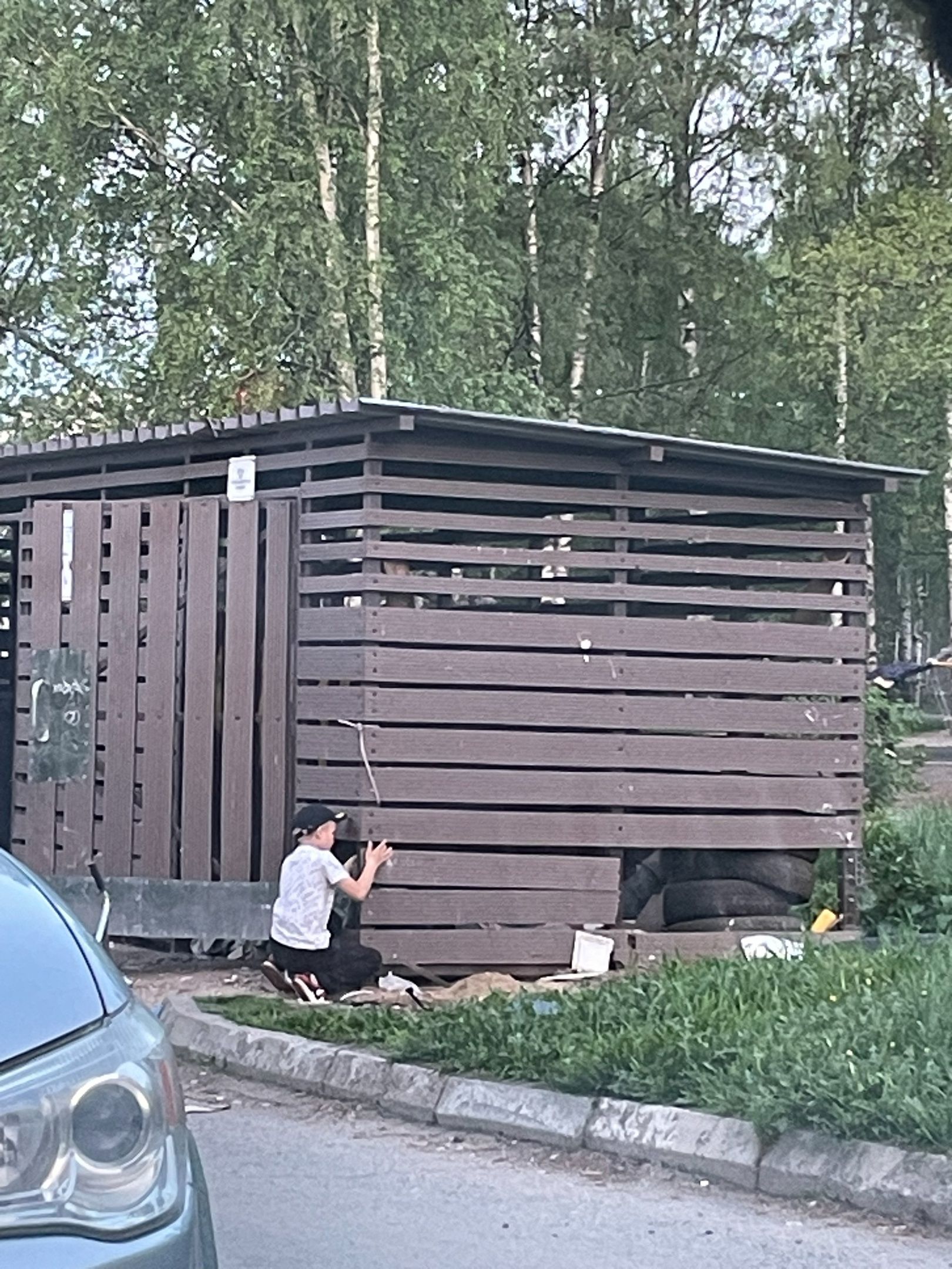 «Началось лето»: мальчик ломал помойку в Петрозаводске