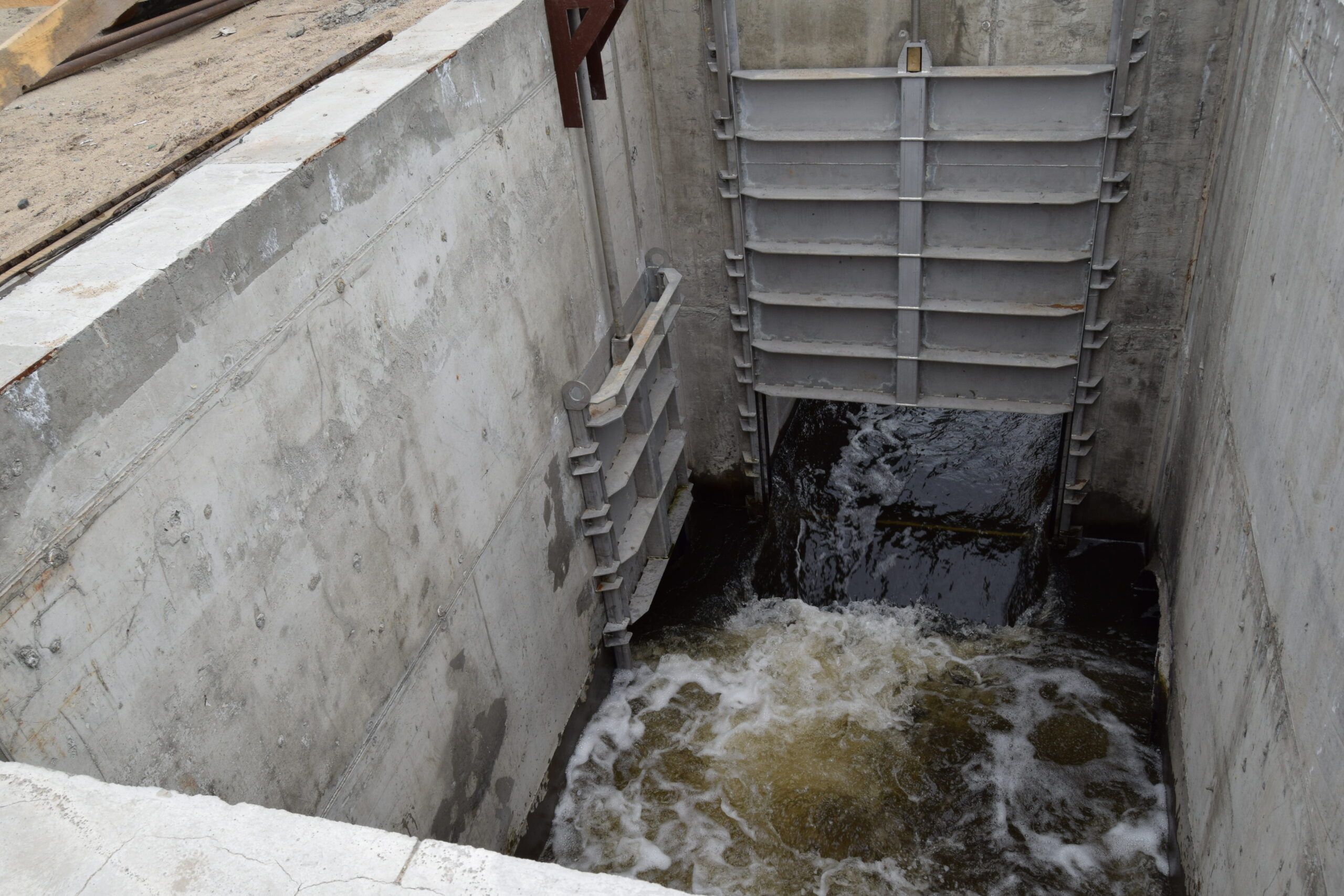 «РКС-Петрозаводск»: забота о чистоте Онежского озера — неотъемлемая часть устойчивого развития компании