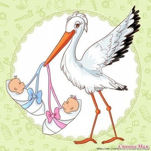 Узнали, сколько родилось малышей в последний месяц весны