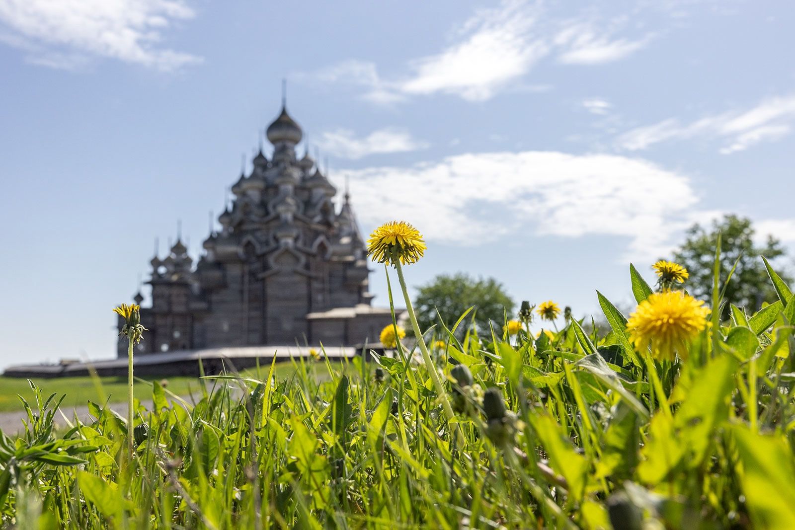Синоптики рассказали, какая погода ждет жителей Карелии в июне