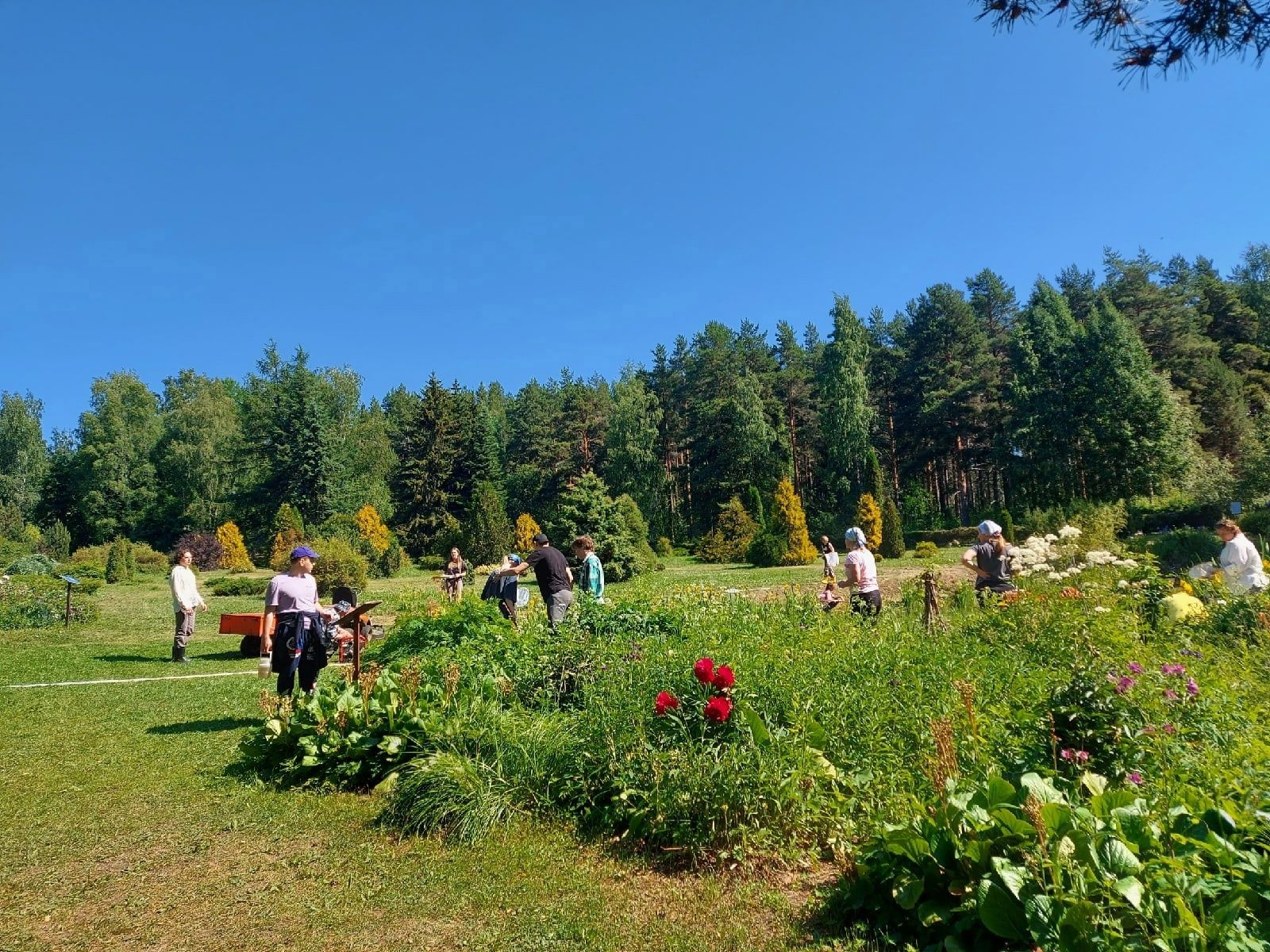 Руководство Ботанического сада прокомментировало ситуацию с клещами