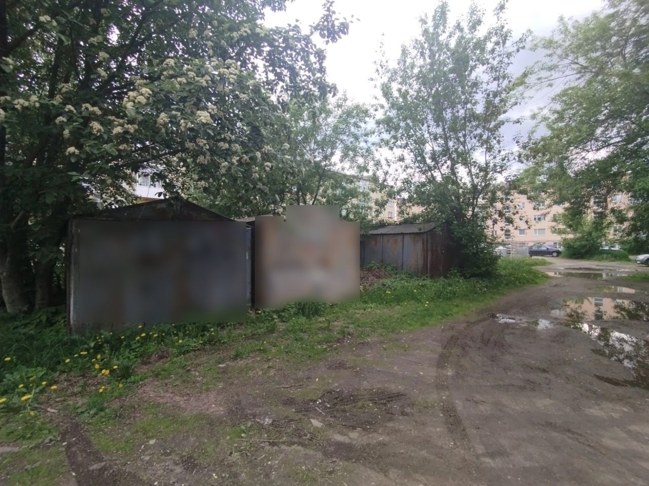 В Петрозаводске освободят участки от самовольных построек