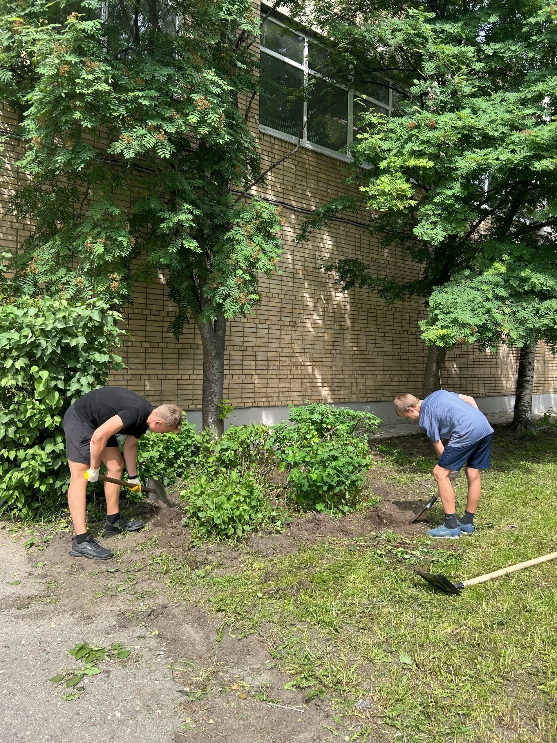Петрозаводские школьники работают на каникулах