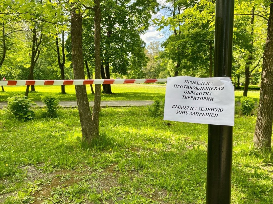 Будьте осторожны: шесть районов Петрозаводска обрабатывают от клещей