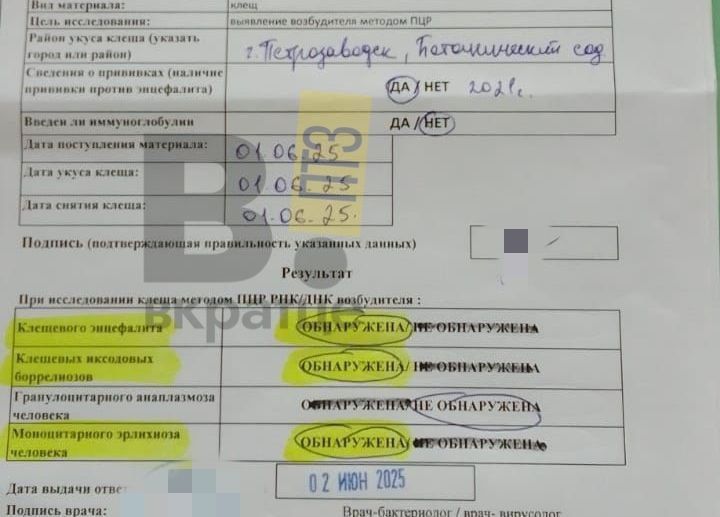 Петрозаводчанка подхватила три опасные инфекции от клеща в Ботаническом саду