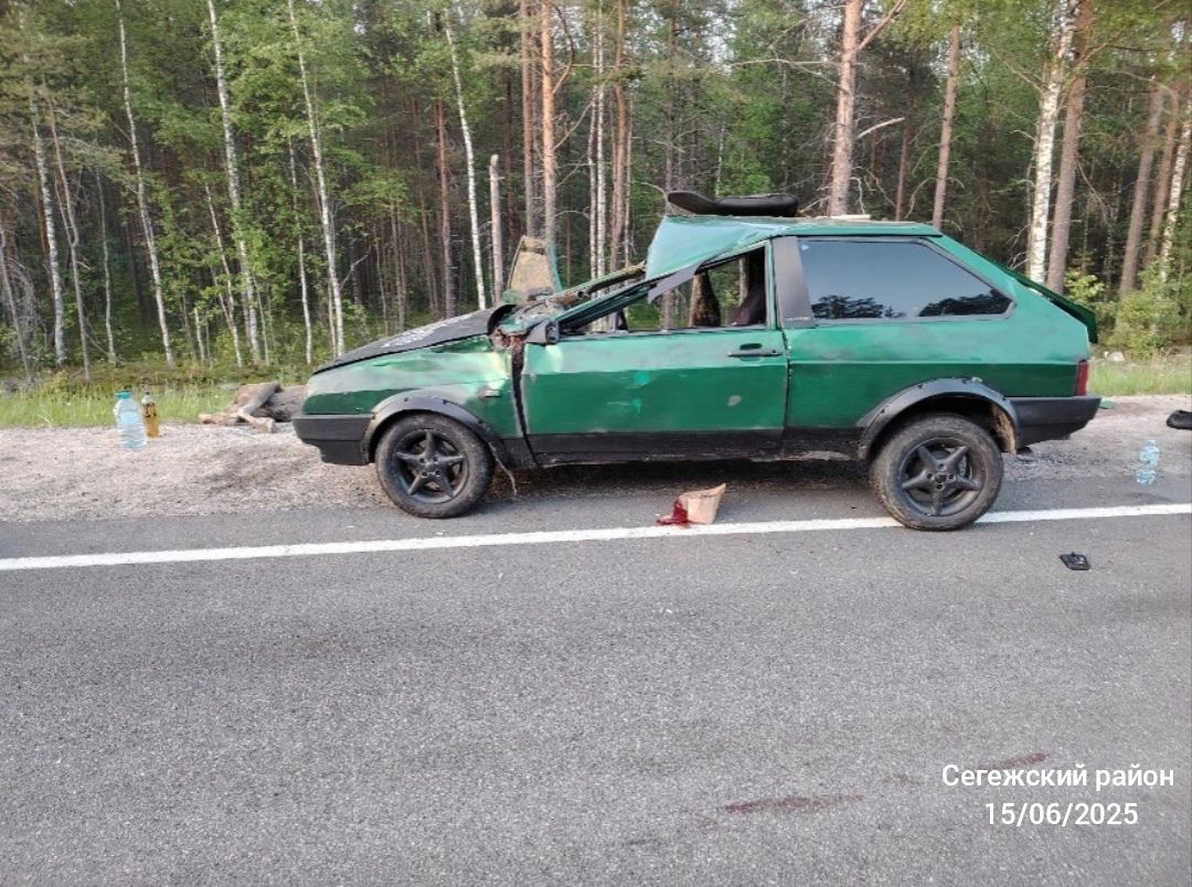 Легковой автомобиль насмерть сбил лося на трассе в Карелии