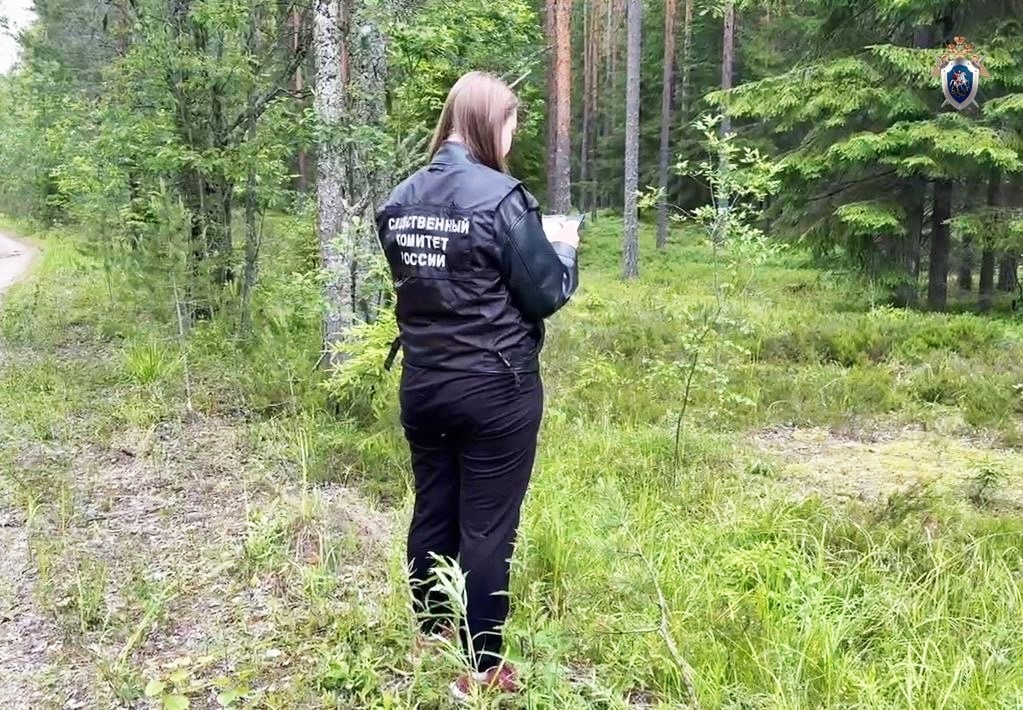 Следователи выясняют причину гибели пропавшего больше месяца назад пожилого подопечного дома-интерната на юге Карелии