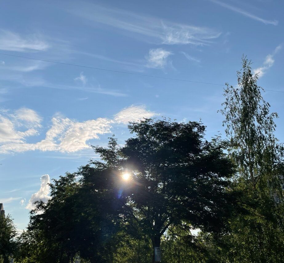 Малоснежное карельское лето в разгаре: 21 июня местами ожидаются заморозки