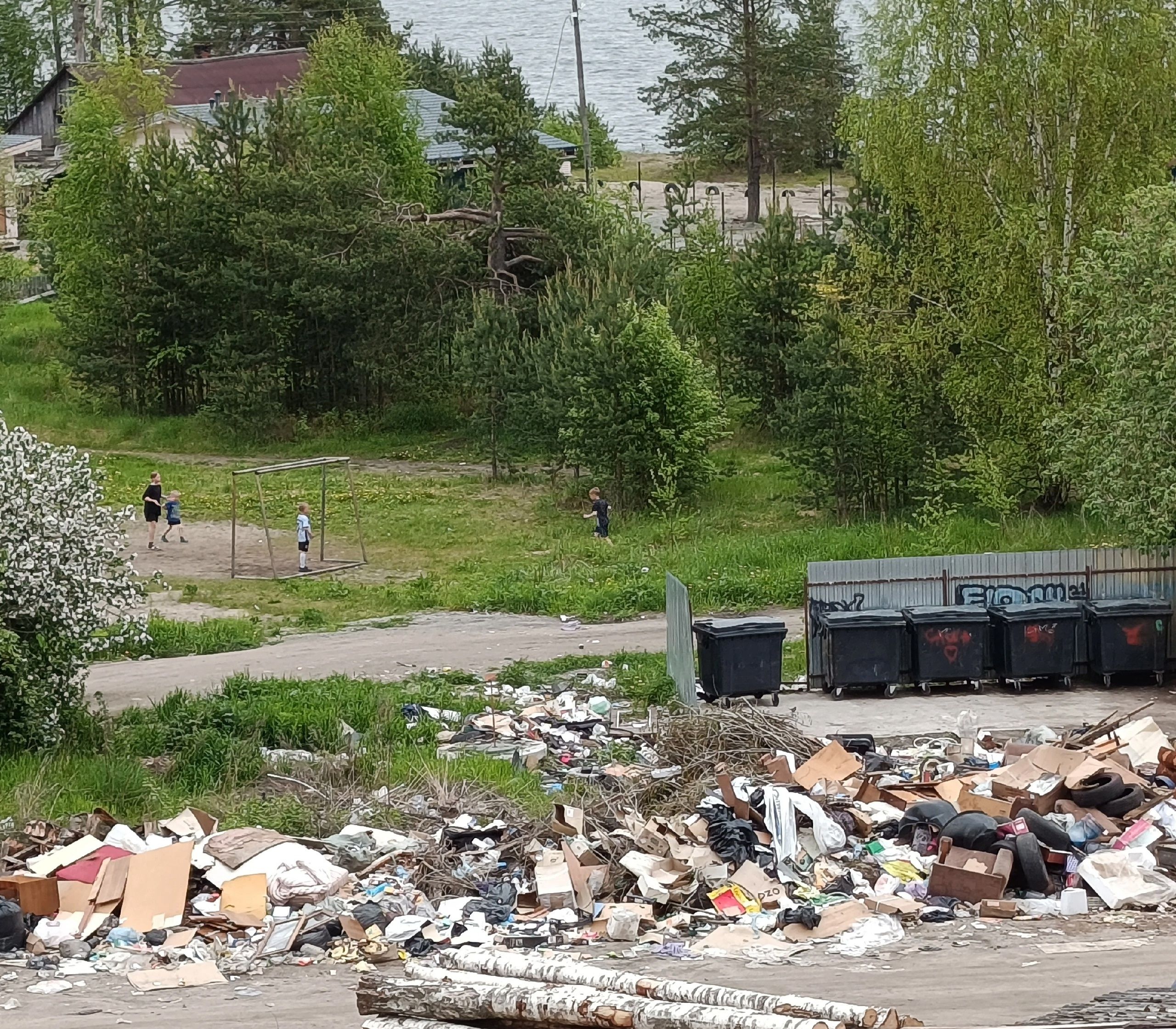 Живописный берег Онежского озера превратился в мусорную зону