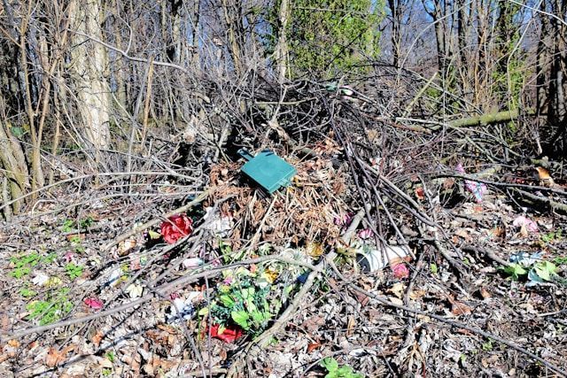 Сельхозземли и все вокруг них завалено мусором в Прионежье