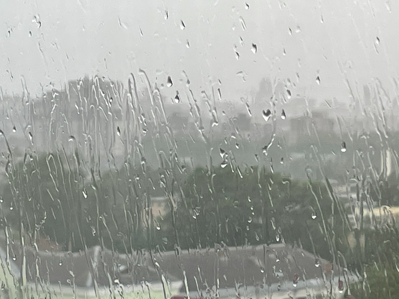 Сильные дожди обрушатся на Карелию — вместе с ними рухнут надежды на знойное лето