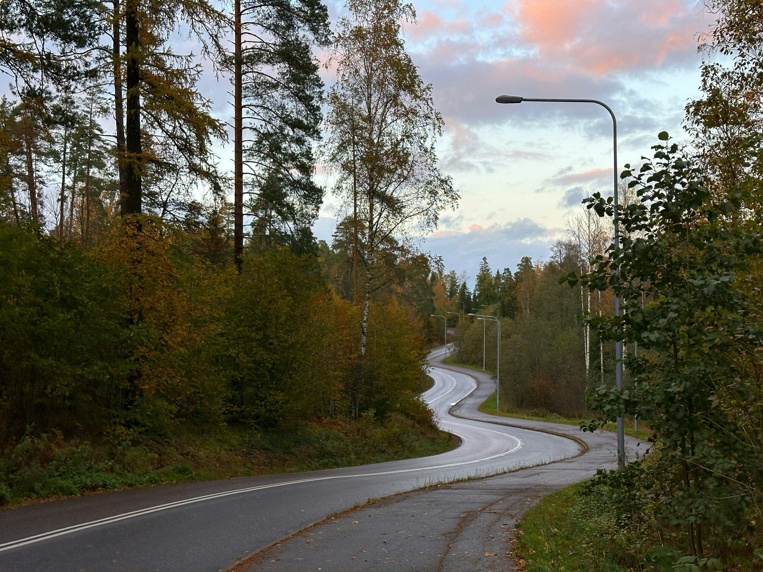 На дороге к «Горе Филина» в Карелии установят более 40 фонарей