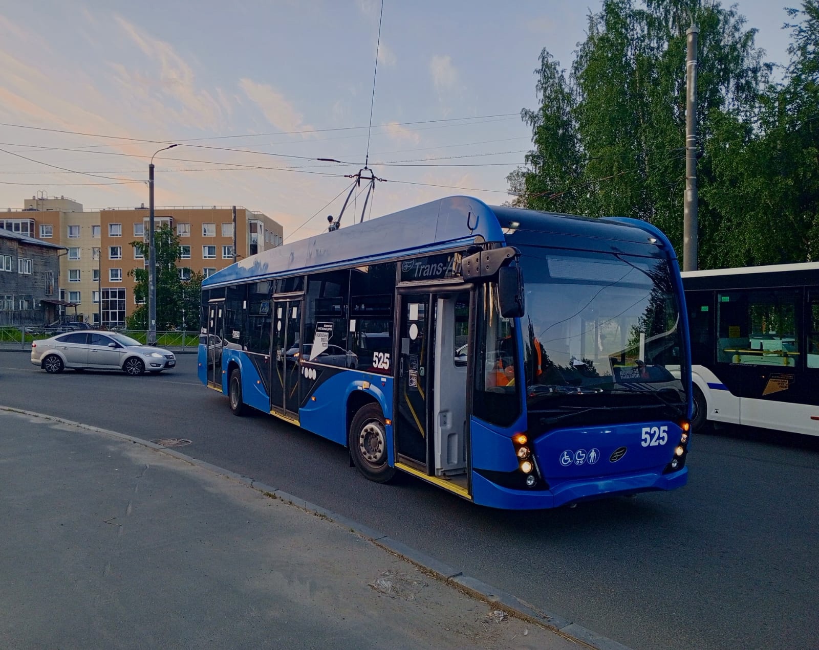 Для нового троллейбусного маршрута в Петрозаводска нужно 60 млн рублей