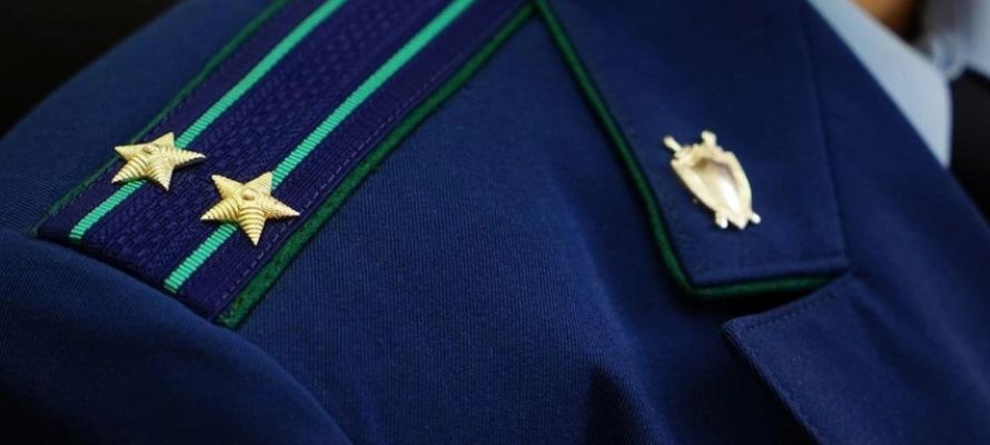 Злостного неплательщика алиментов отправили в колонию по настоянию прокуратуры Петрозаводска