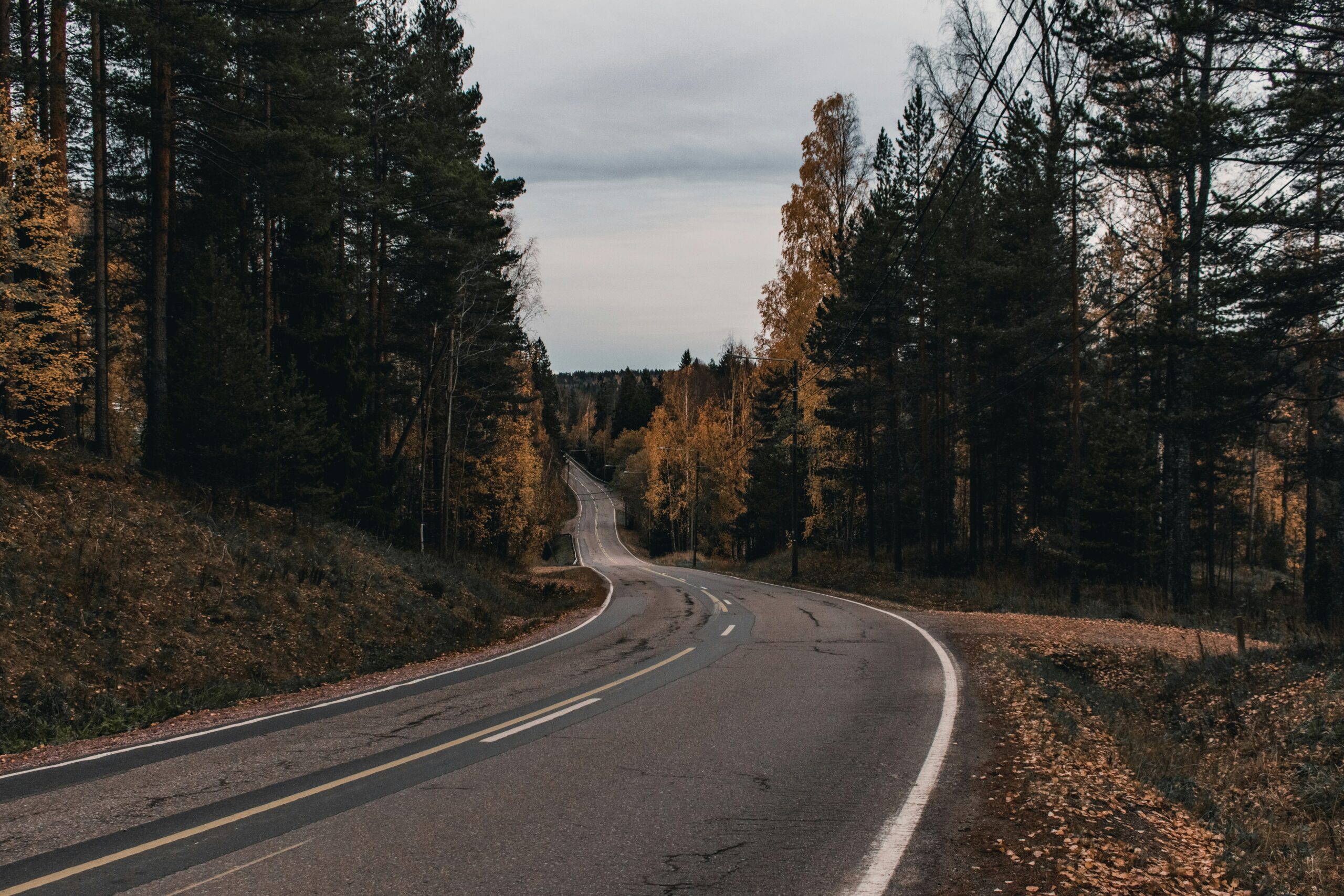 Жители Карелии потребовали навести порядок на трассе