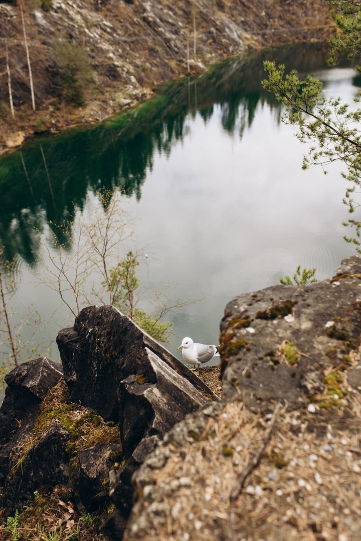 Горный парк Рускеала обработали от клещей