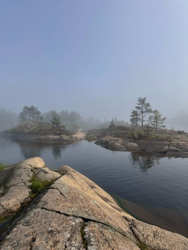 В сети обсудили туманы над Ладогой