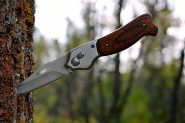 Жителя Питкяранты заподозрили в покушении на убийство жены