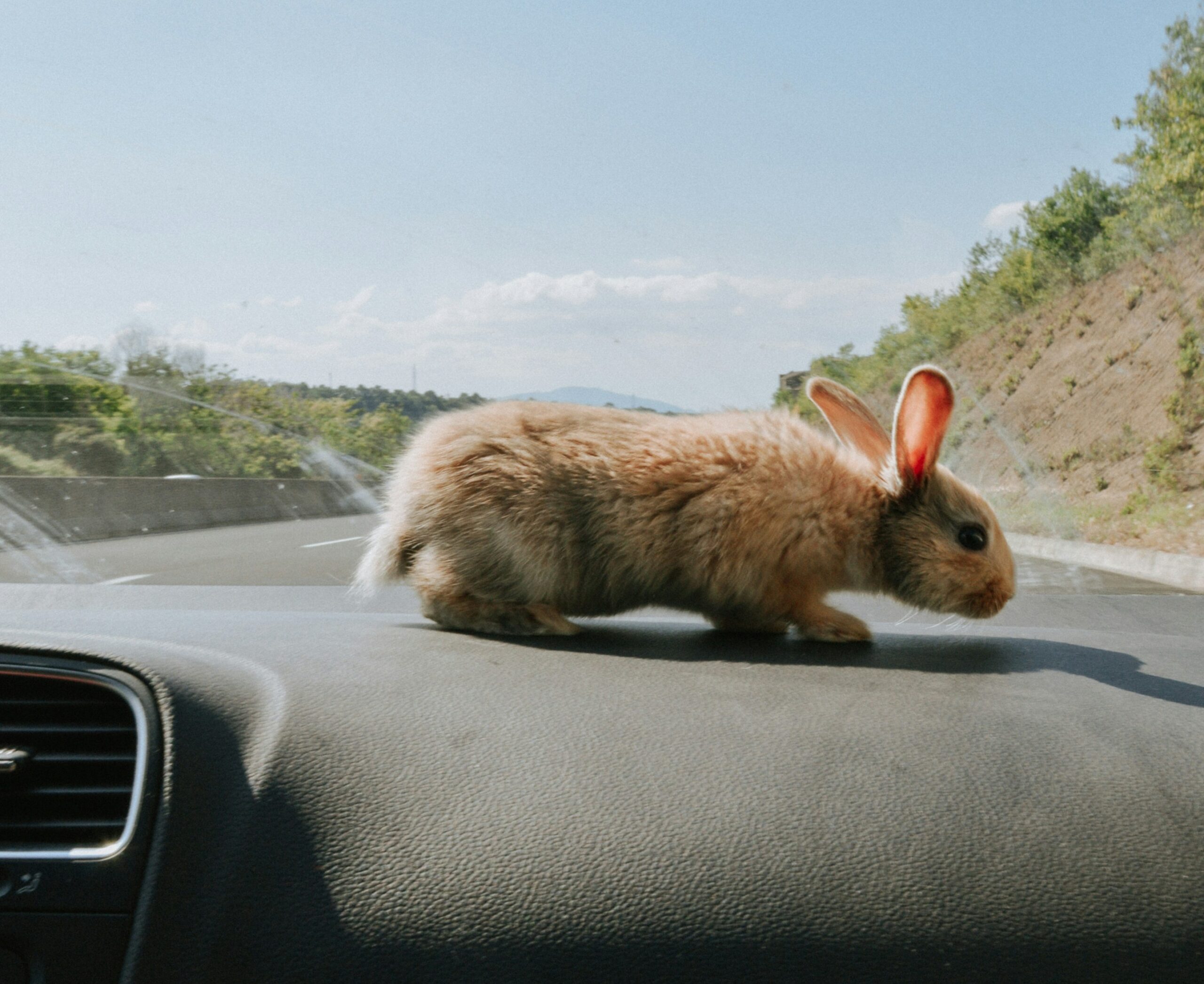 Ветер, дождь и немного солнца: прогноз погоды на 23 июня