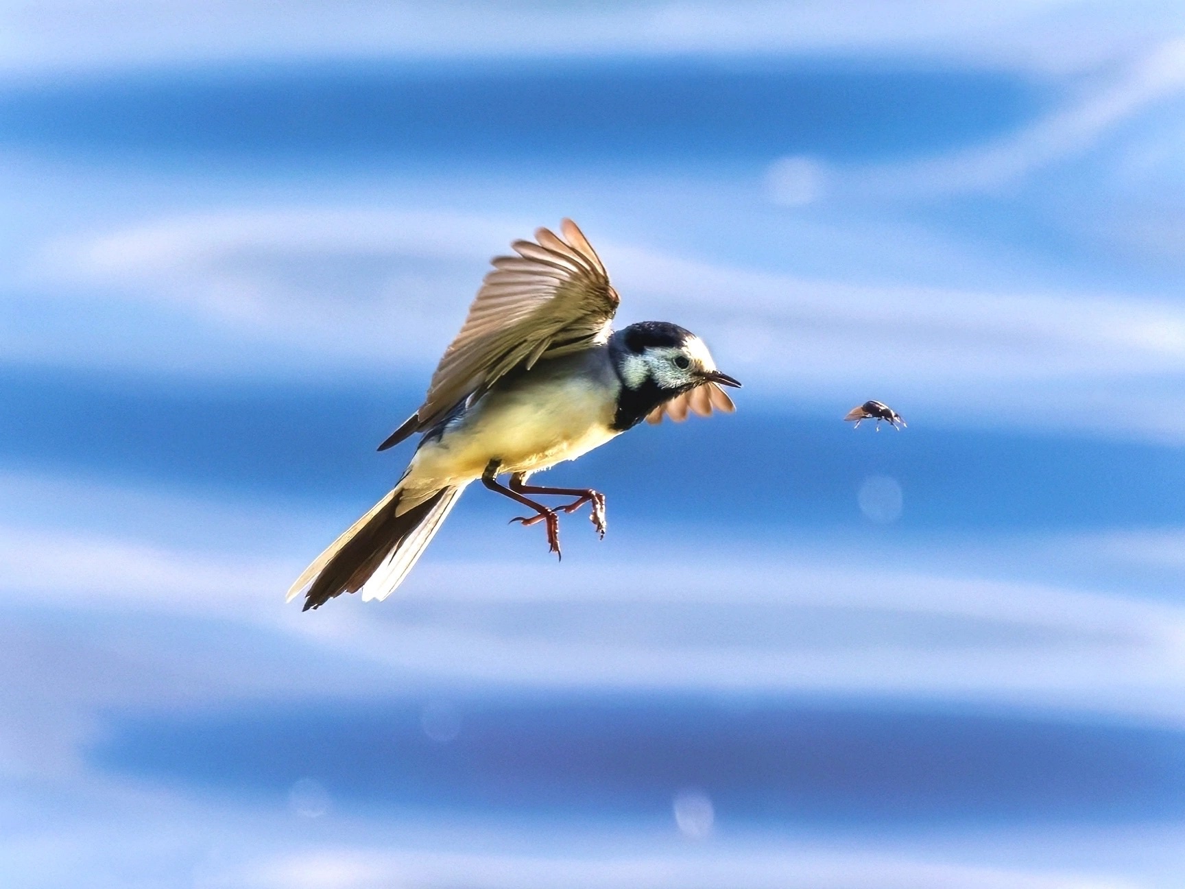 Кратковременные дожди и грозы: синоптики рассказали о погоде в Карелии на среду