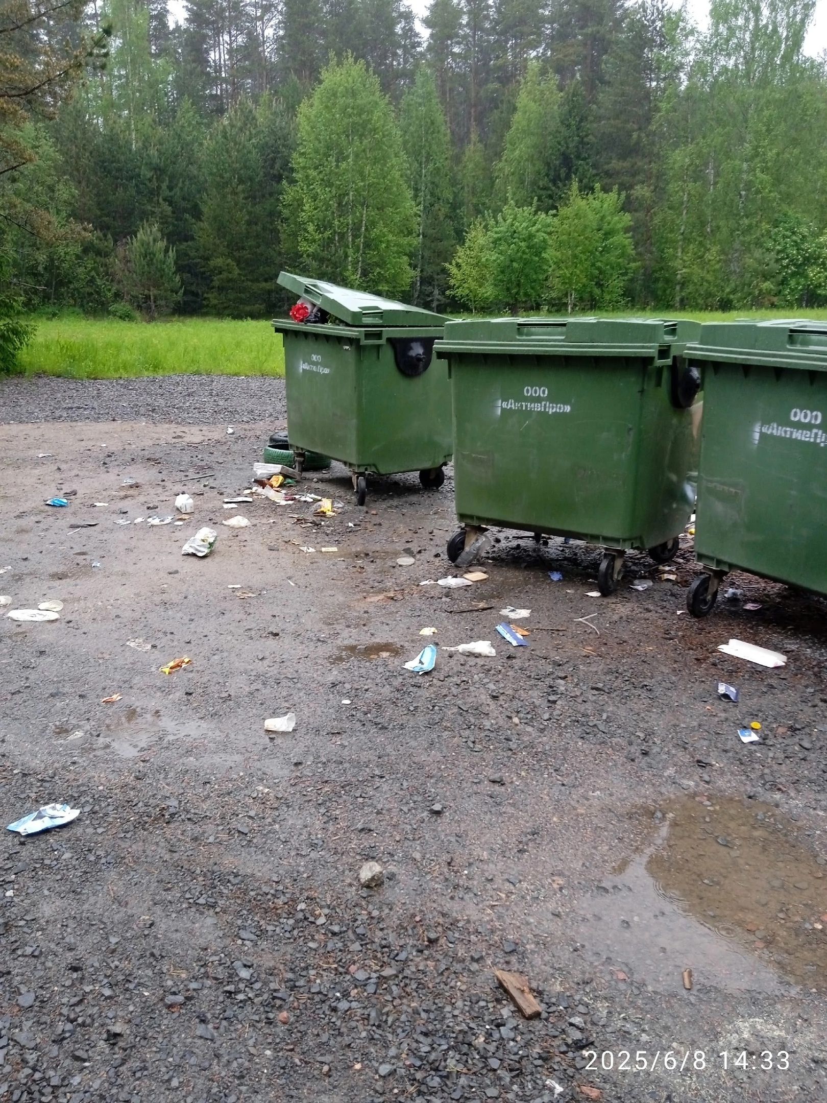 Карельский оператор ответил на жалобы жителей одного из поселков о свалках у баков