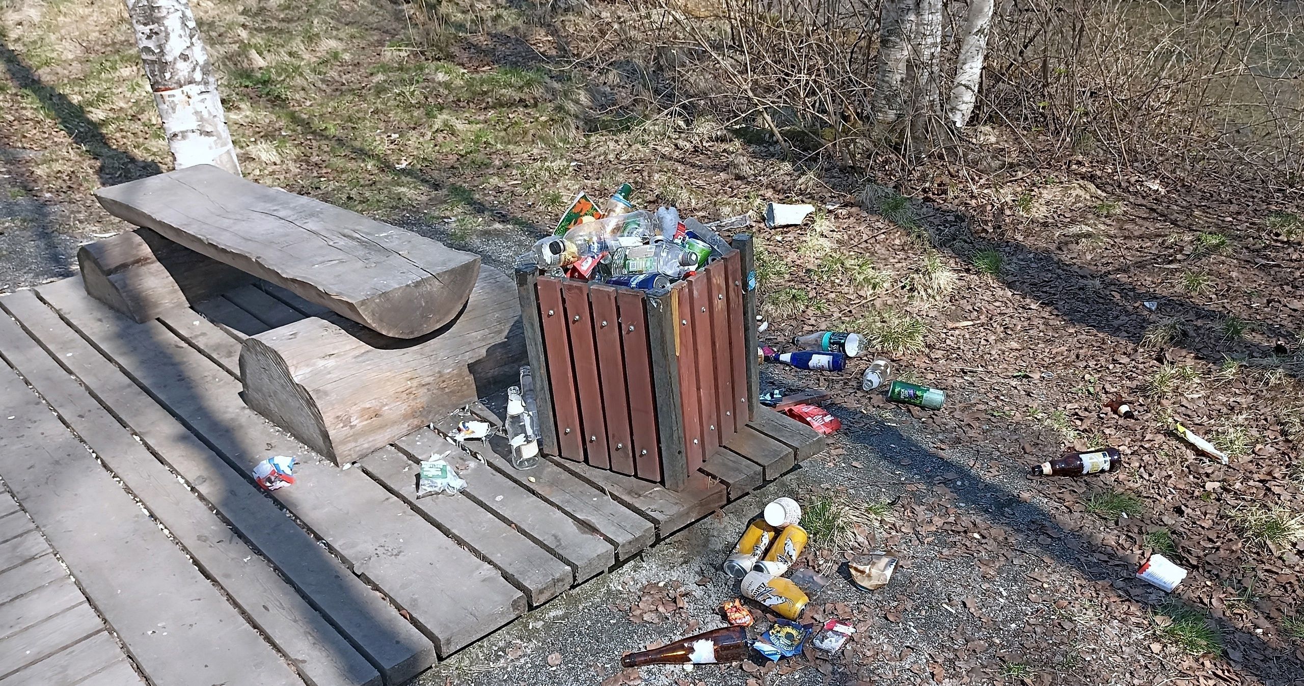 На севере Карелии предложили усилить контроль за хулиганами