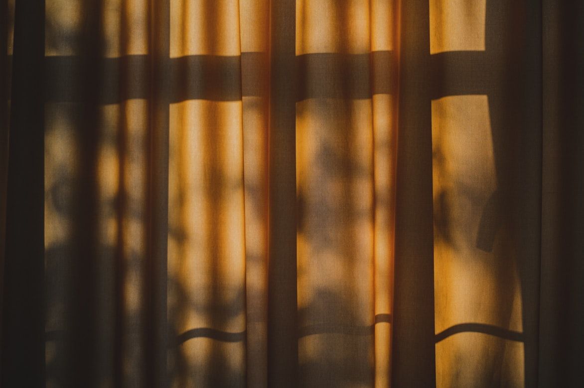 Специалист рассказал, как защитить домашнего питомца от жары