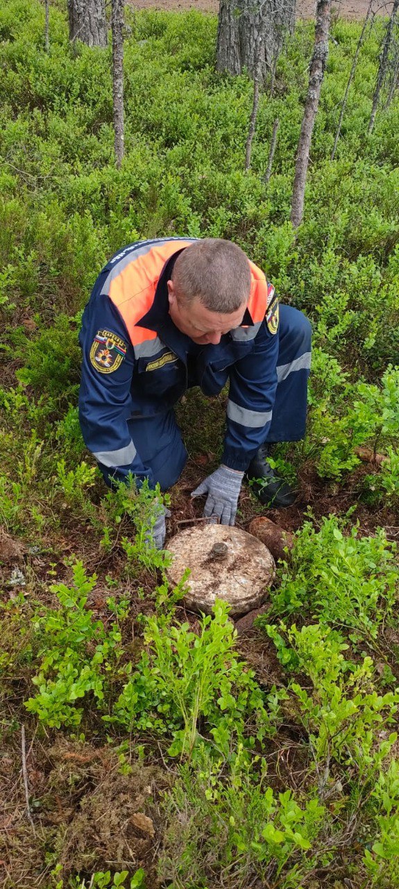 Карельские спасатели обнаружили в лесу бомбы времен Великой Отечественной войны