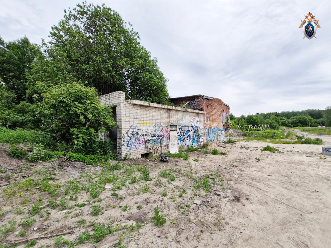 Следком начал расследование после электротравмы подростка в заброшке Петрозаводска