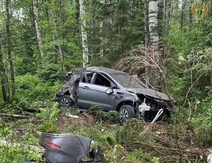 Прокуратура проводит проверку после гибели 17-летнего подростка в ДТП на востоке Карелии