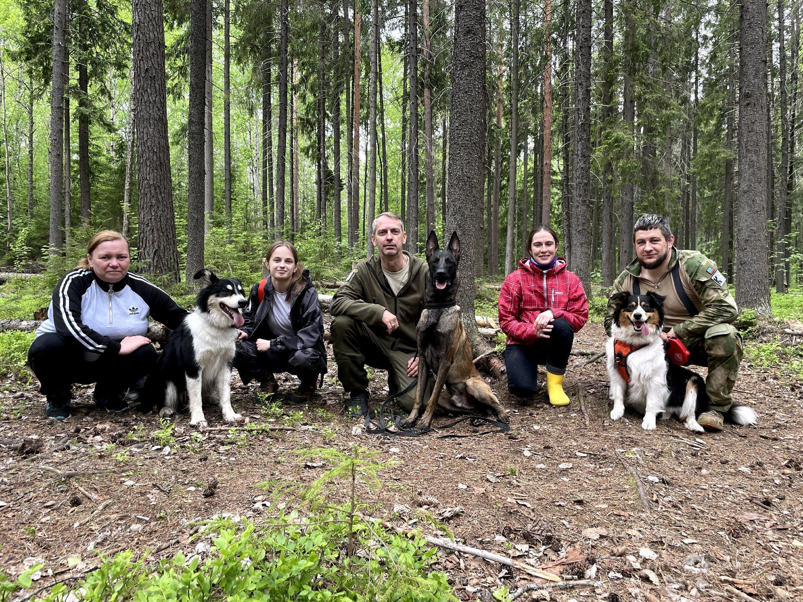 «ЛизаАлерт» рассказал, как готовят кинологов в Карелии