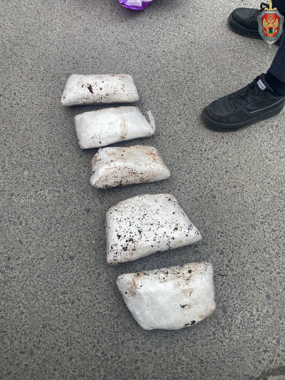 УФСБ Карелии прикрыло канал поставок наркоты в Петрозаводск, задержаны двое горожан с крупной партией запрещенного зелья