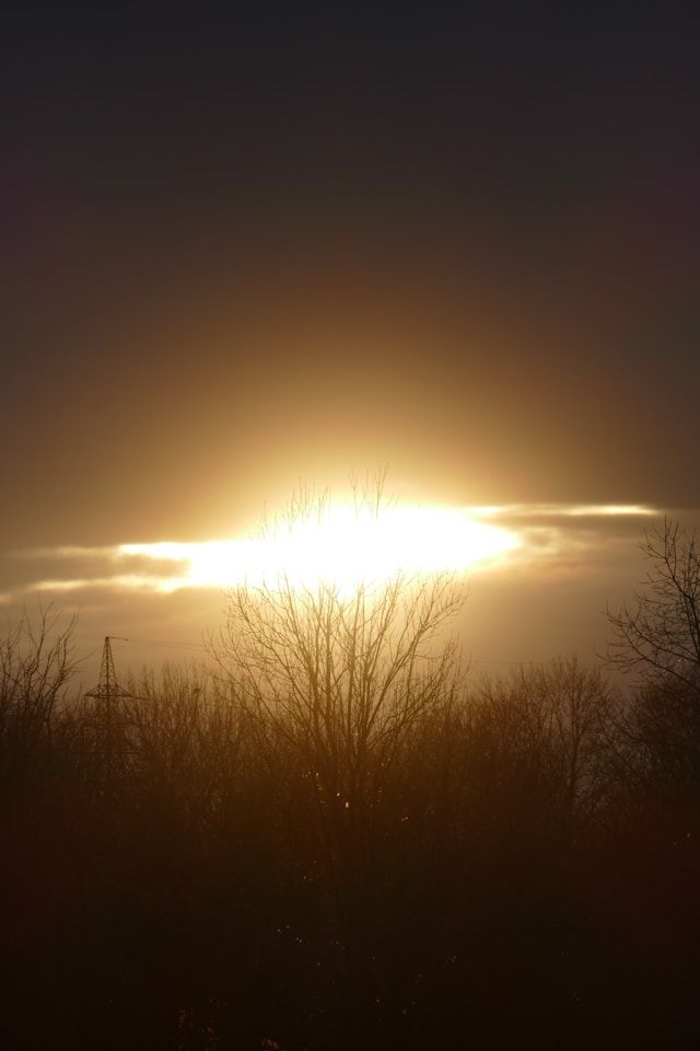 Самая крупная в июне и третья за год: на Солнце произошла очередная вспышка