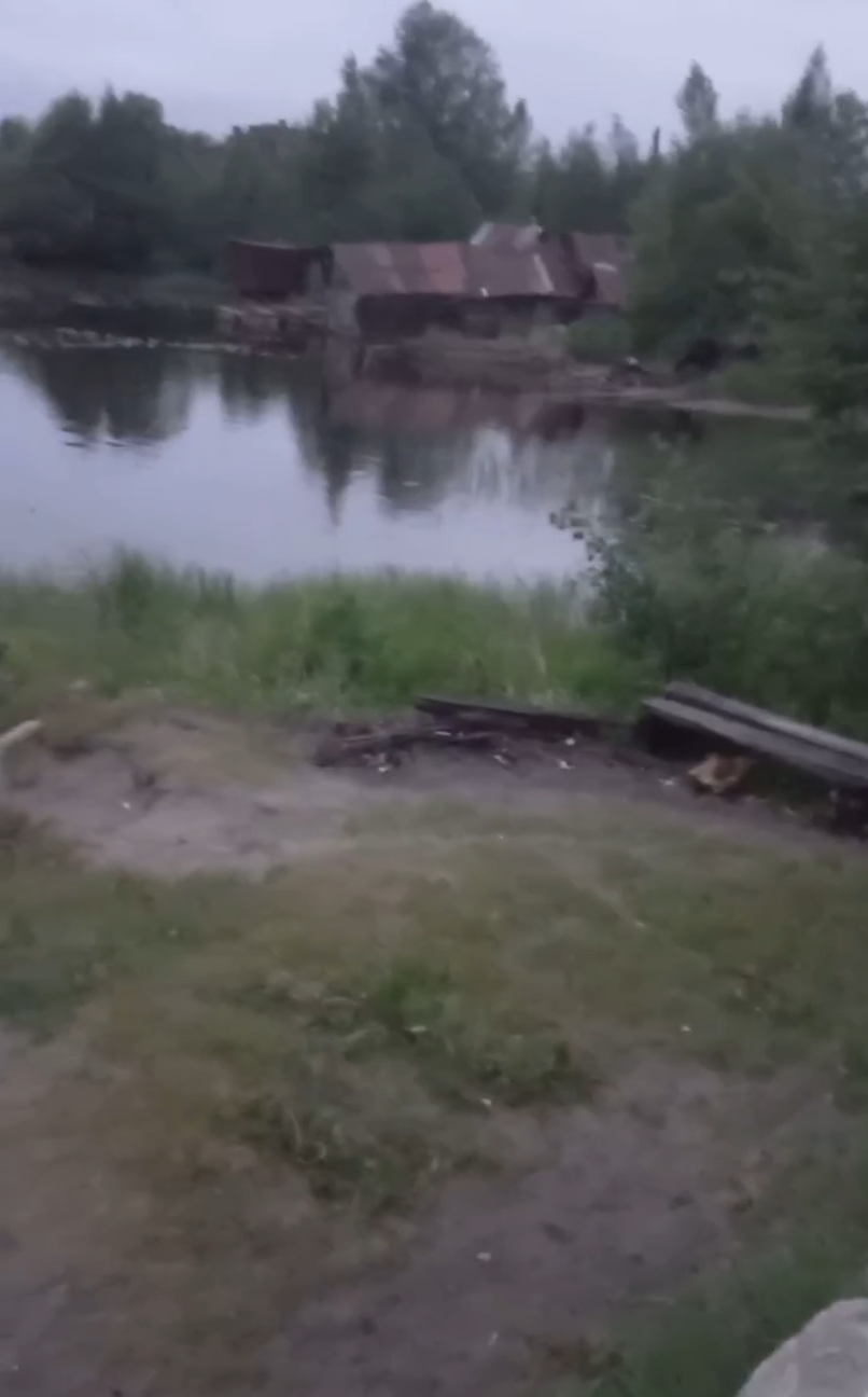 Мост жгут, берег загажен: жители карельского поселка попросили спасти остров от мусора и вандалов