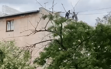 Мужчина сбрасывал с крыши строительный мусор прямо на тротуар в Петрозаводске