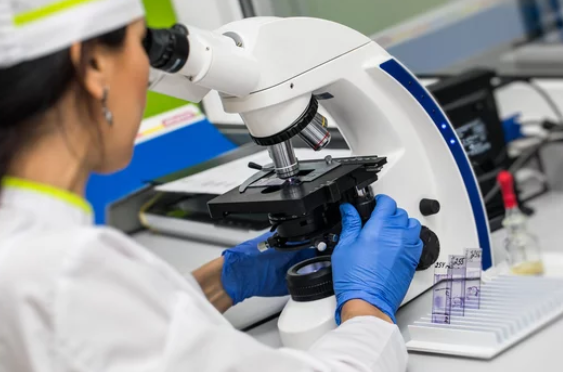 Медицинскую лабораторию пытаются выжить из дома в центре Петрозаводска