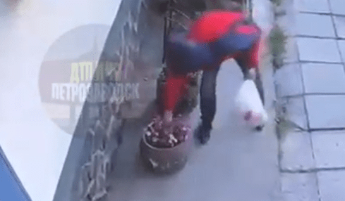 Мужчина выдрал петунии из клумбы в Петрозаводске