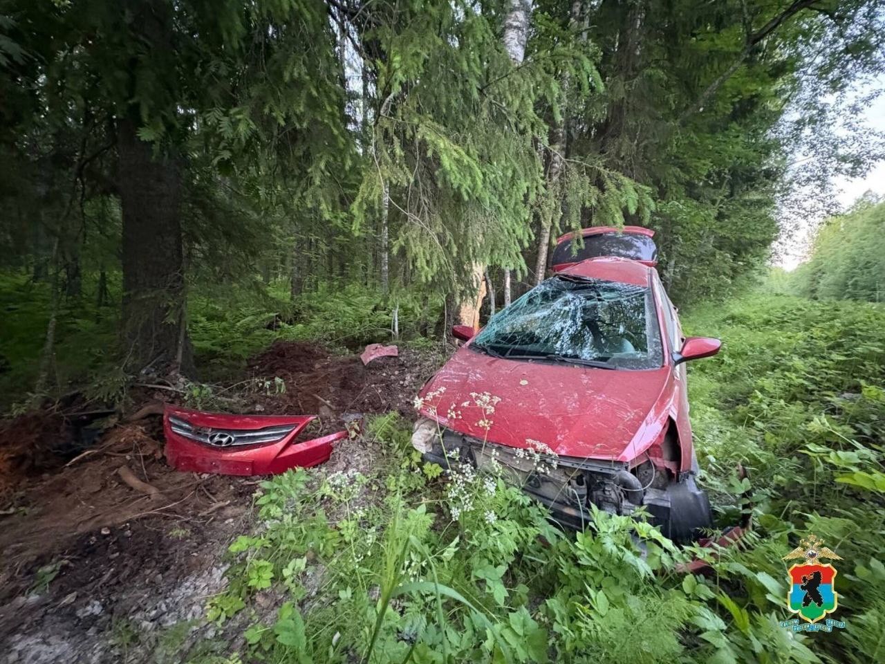 Нетрезвый водитель иномарки оказался в кювете, потом — в больнице одного из районов Карелии