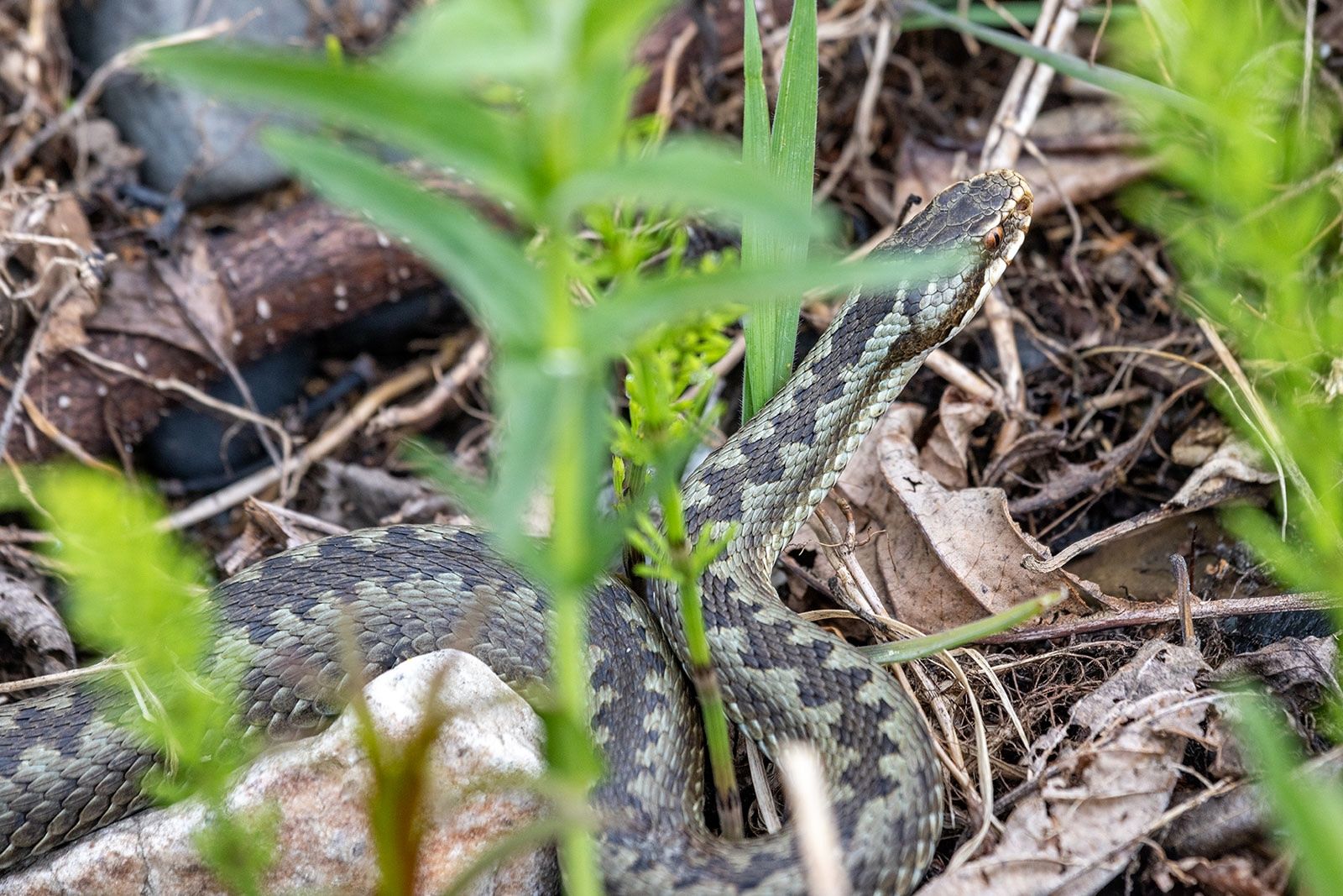 Известный фотограф рассказал об обратной стороне памятника деревянного зодчества