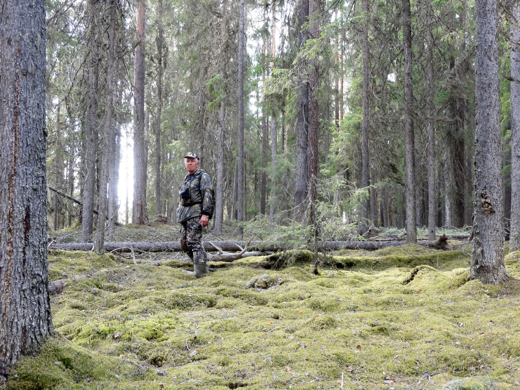Ученые нашли новые виды в Карелии