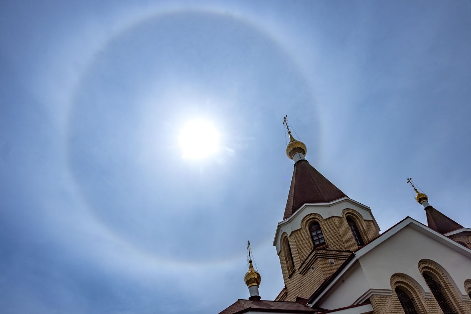 Карельский фотограф обуздал ели и поплатился клумбой