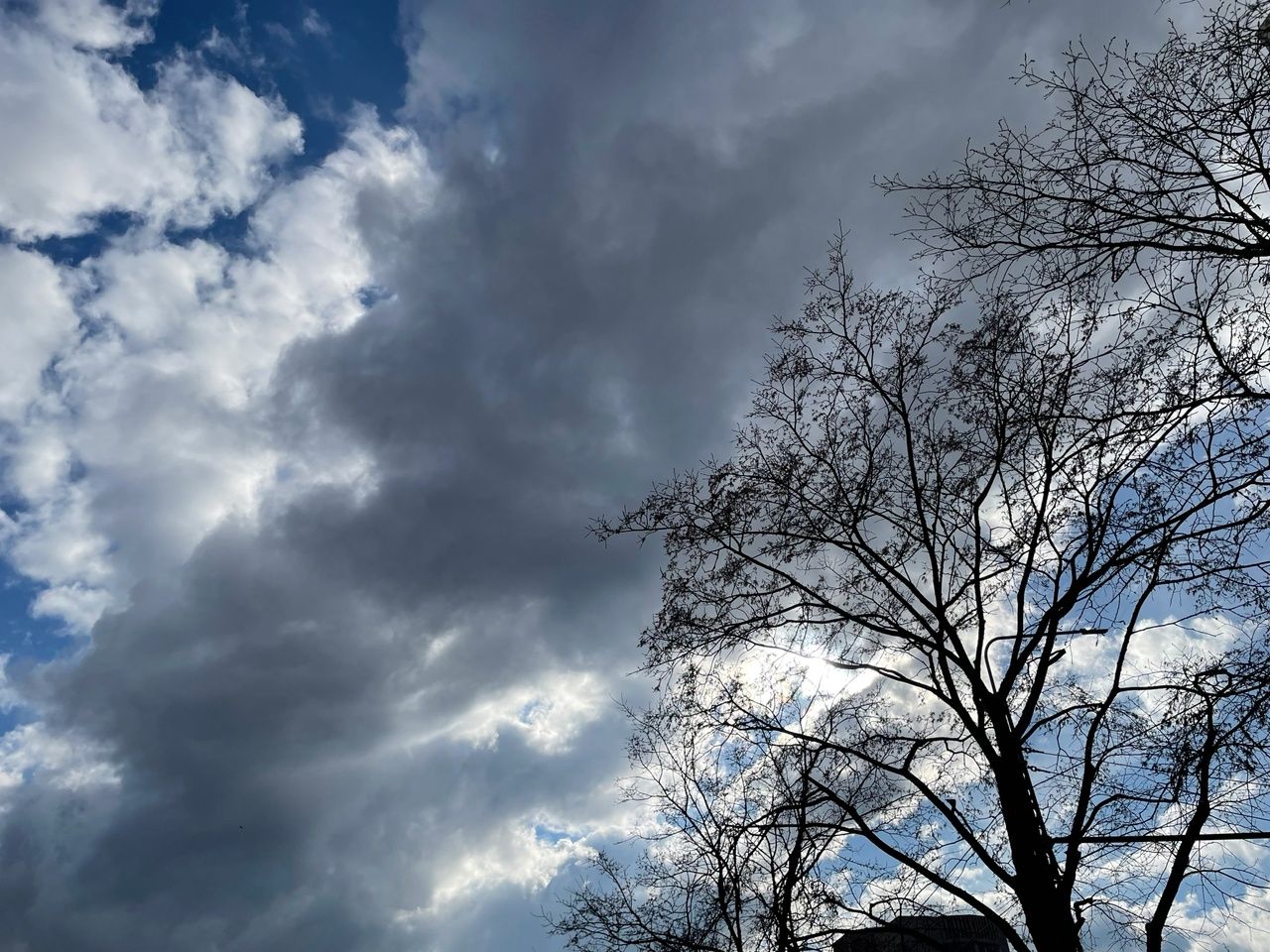 Заморозки ударят после выходных в Карелии