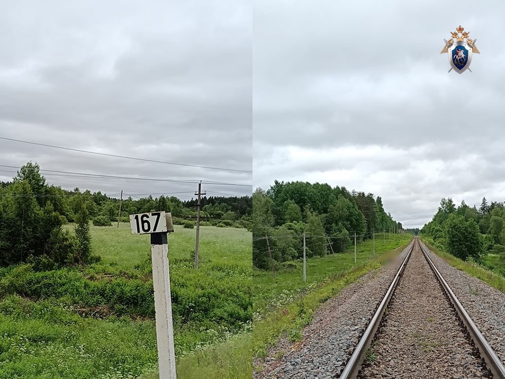 Следком разбирается в гибели мужчины, которого сбила электричка в Лахденпохском районе