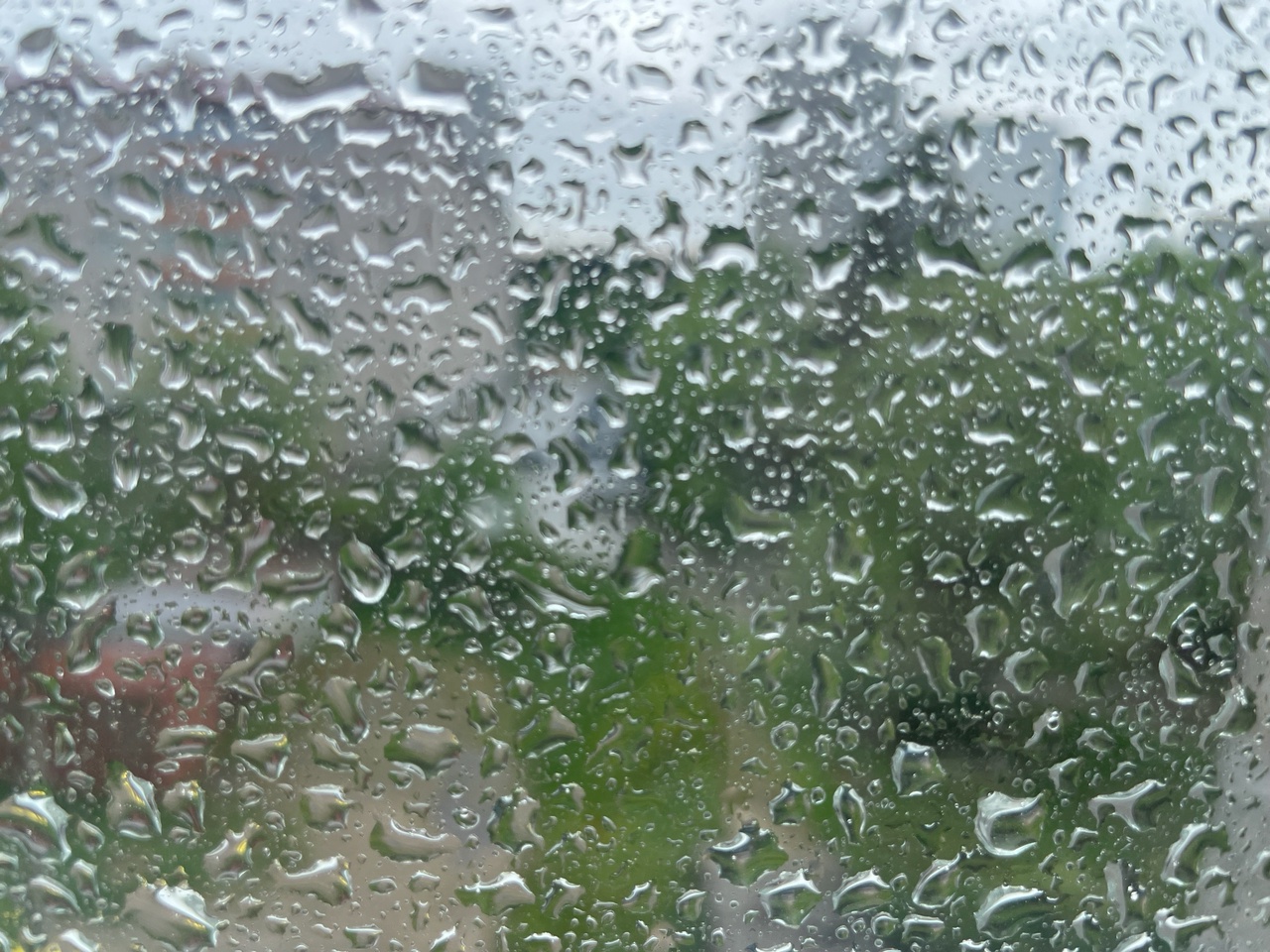 Ливни зальют Карелию 24 июня