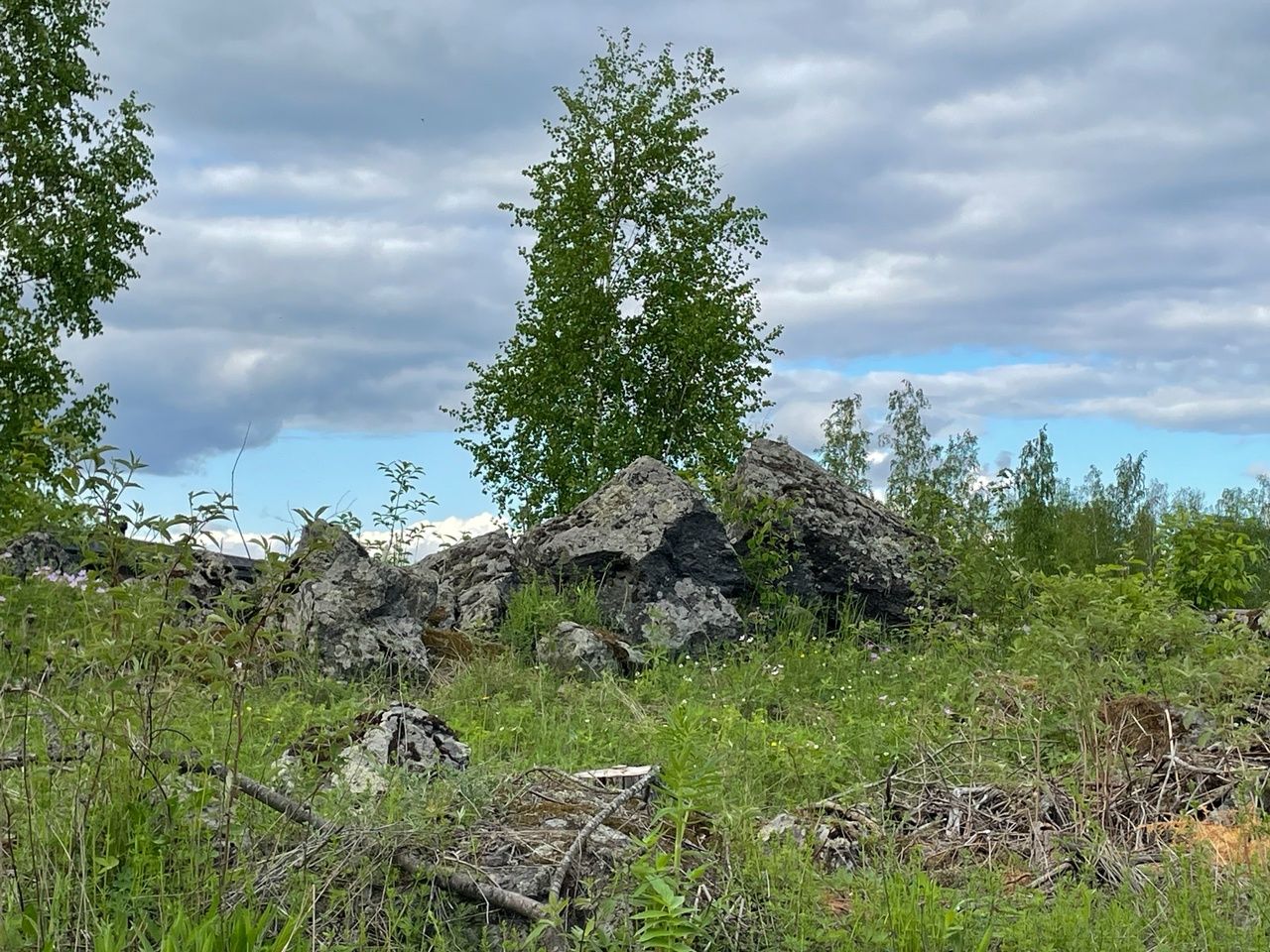 Чудесный день несмотря на грозу ожидает 3 июня жителей Карелии