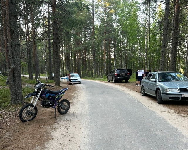 Ребенок на питбайке не разъехался с японским кроссовером по пути на пляж в Сегеже